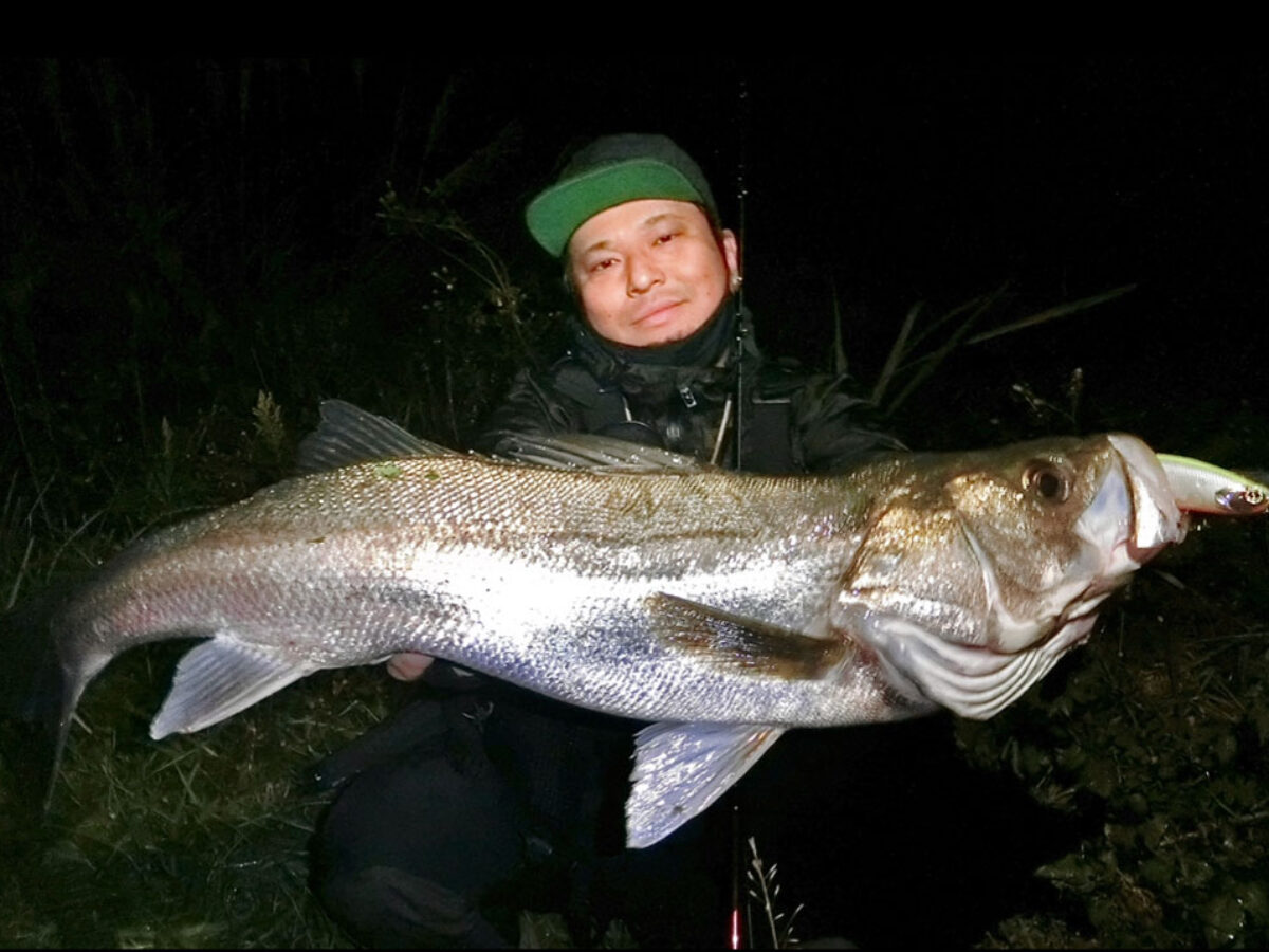 朝から晩まで7.5H♪ - Fishman（フィッシュマン）