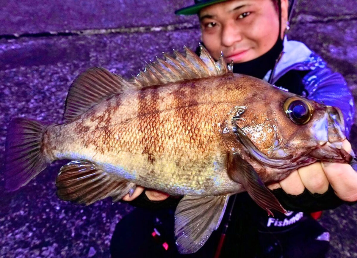 2021年のメモリアルフィッシュ - Fishman（フィッシュマン）