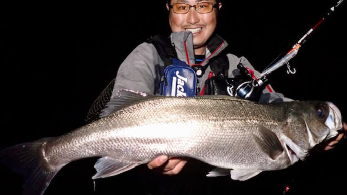 【激レア】Fishman　BlackComodo7.5H comodo7.5Hで、秋のトップゲーム♪ - Fishman（フィッシュマン）