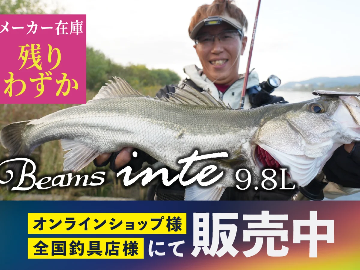 inte98残りわずか_横-1200x900.webp