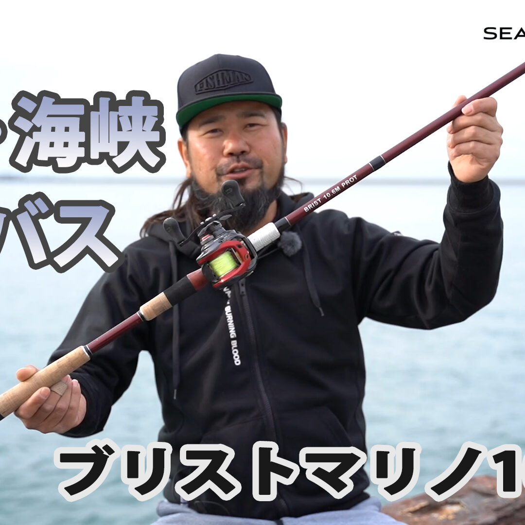 shikoku_seabass20190301-