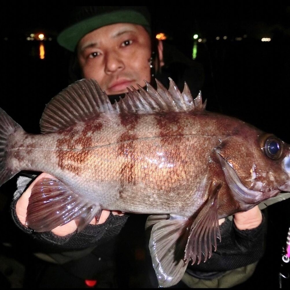 timeline_20220429_233343-