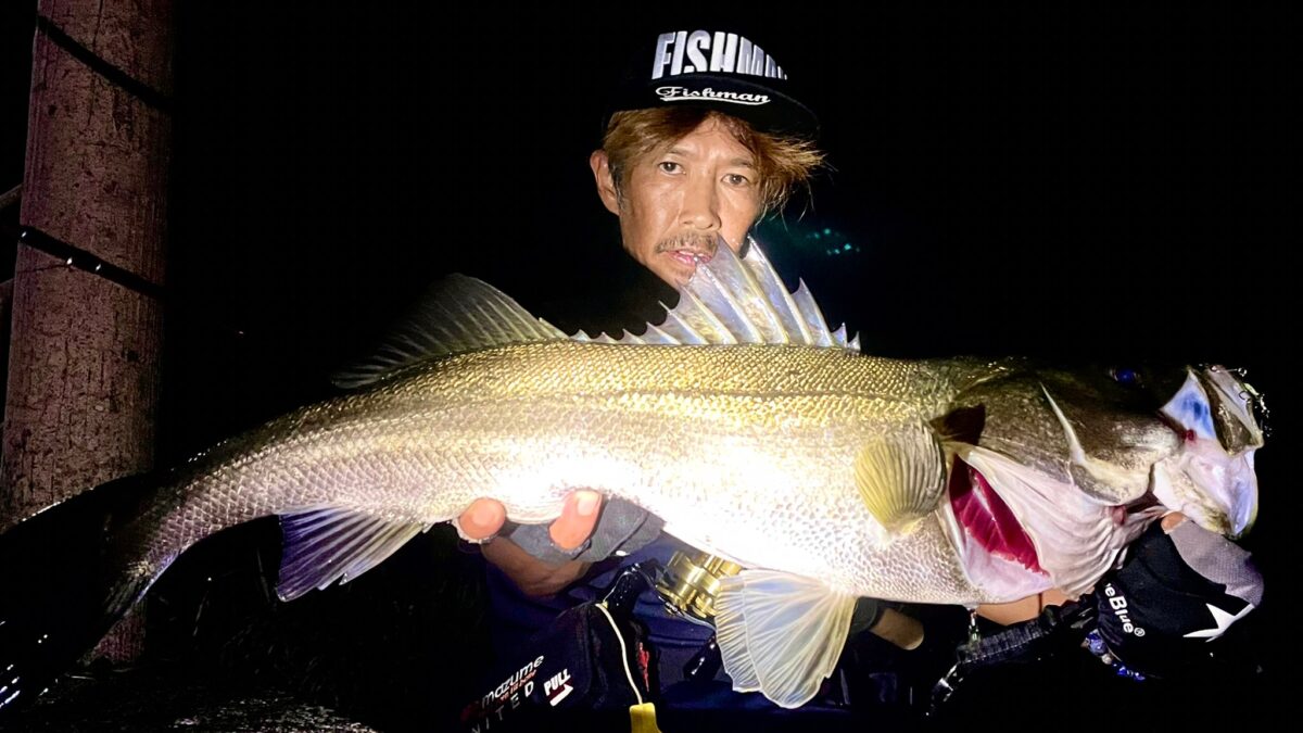 フィッシュマン　bc4510L BC4 5.10L アーカイブ - Fishman（フィッシュマン）