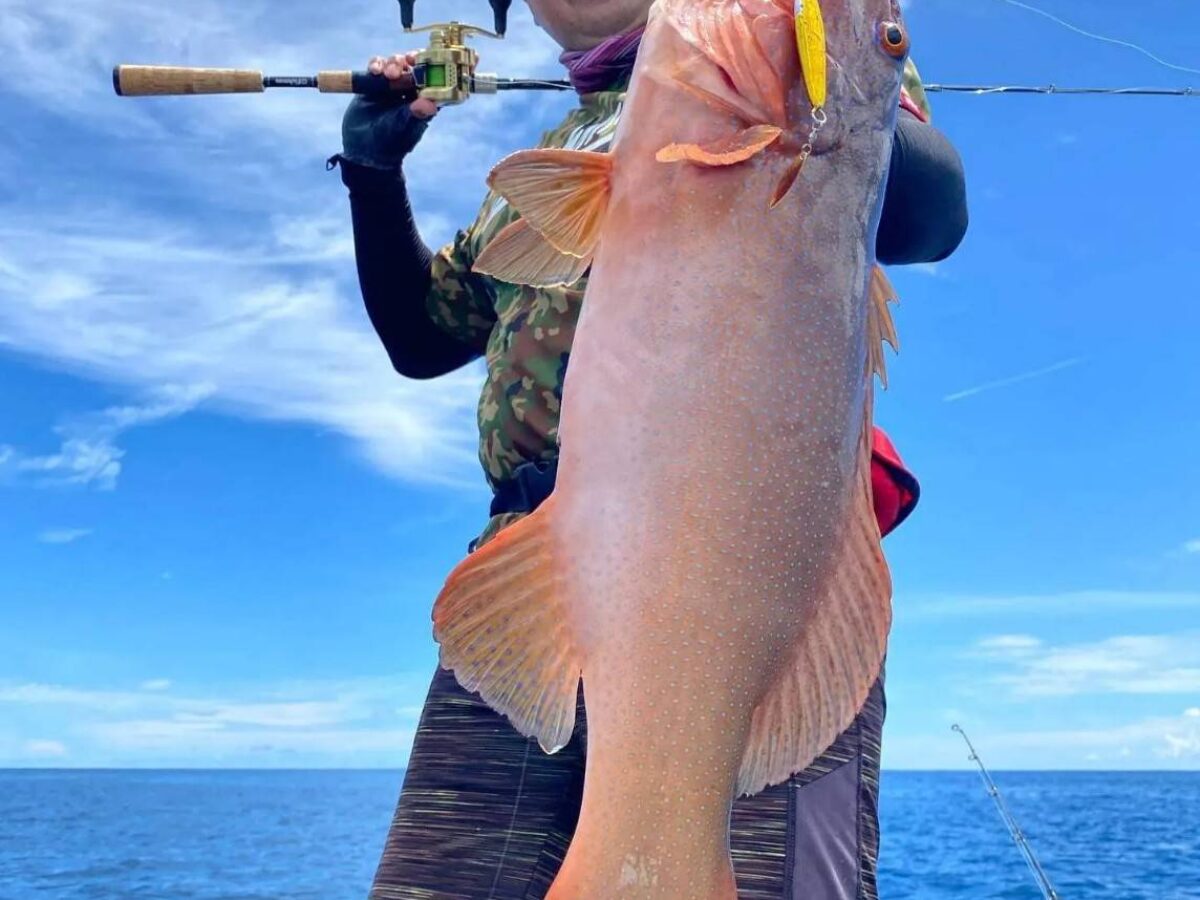 公式ファッションブランド通販サイト 5.10L」vs BC4 King Fishman - ～柔よく剛を制す～ fish Rock of ロッド