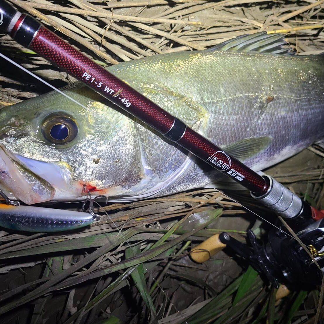 timeline_20220907_230255-