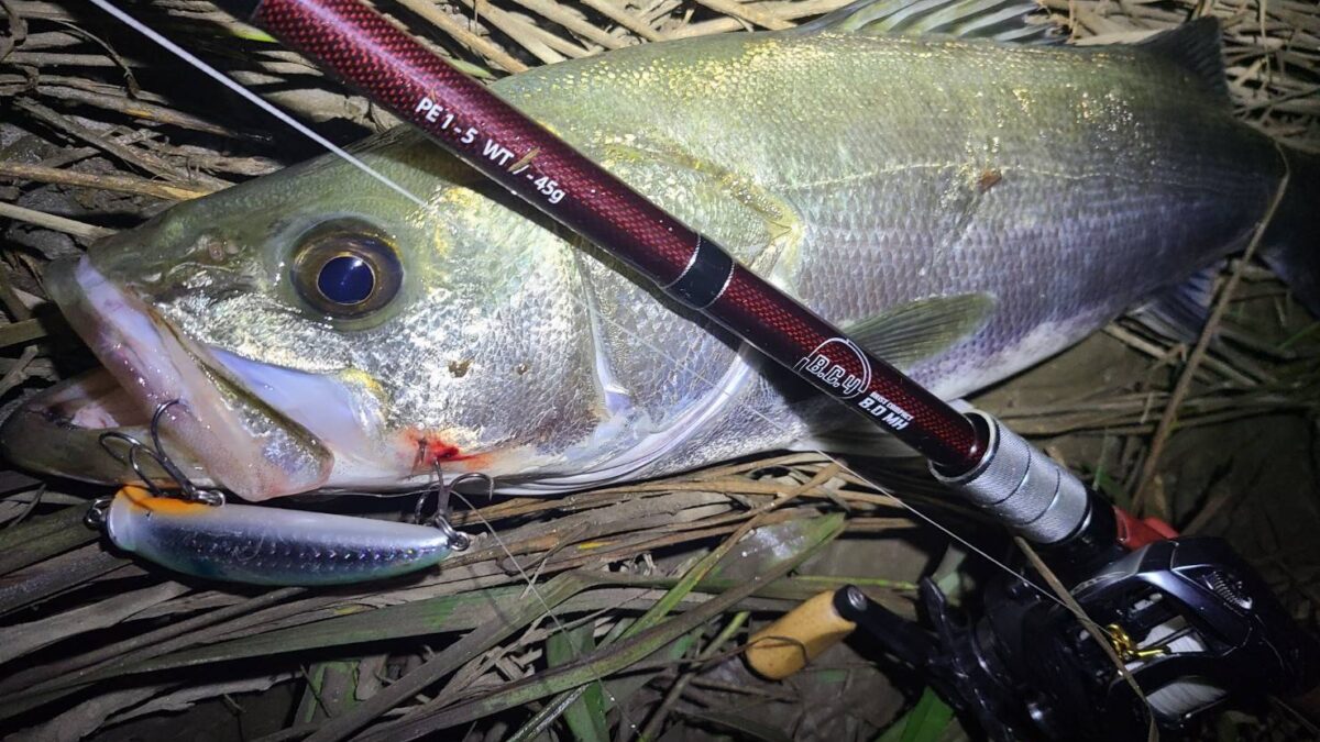 timeline_20220907_230255-