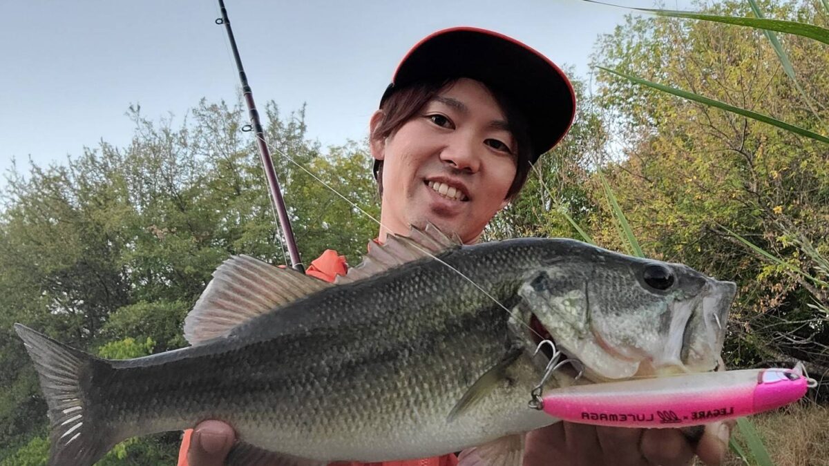 timeline_20221205_191818-