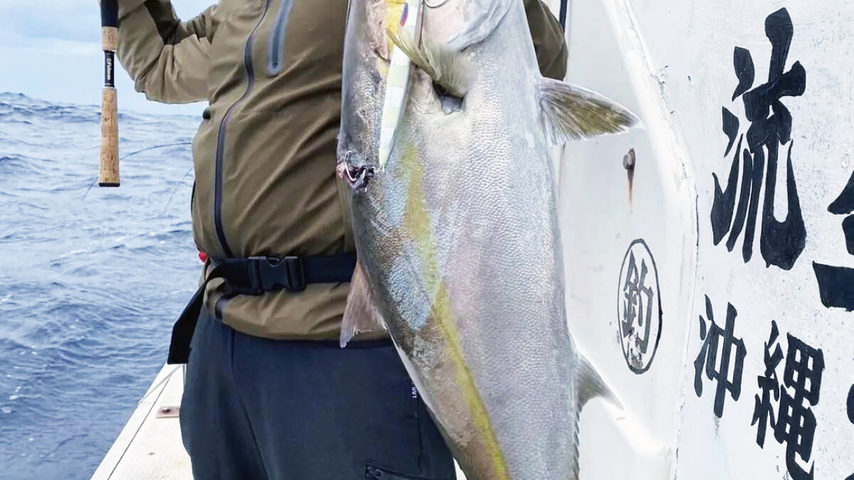 timeline_20230124_233903-1-