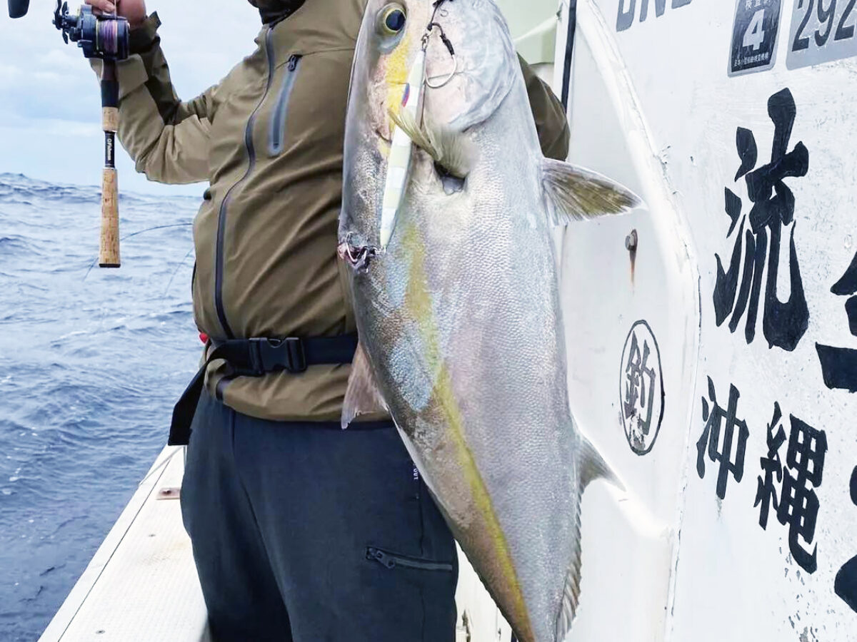 timeline_20230124_233903-1-