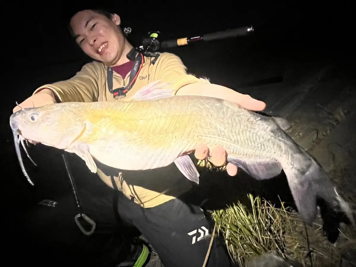 timeline_20230430_221506-jpg-