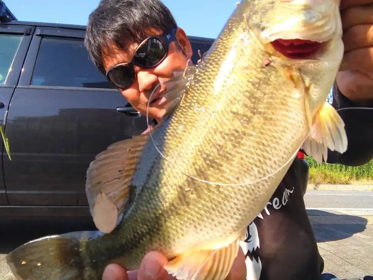 timeline_20230628_180440-jpg-