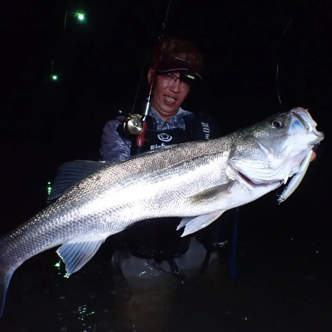 timeline_20230930_214934-jpg-