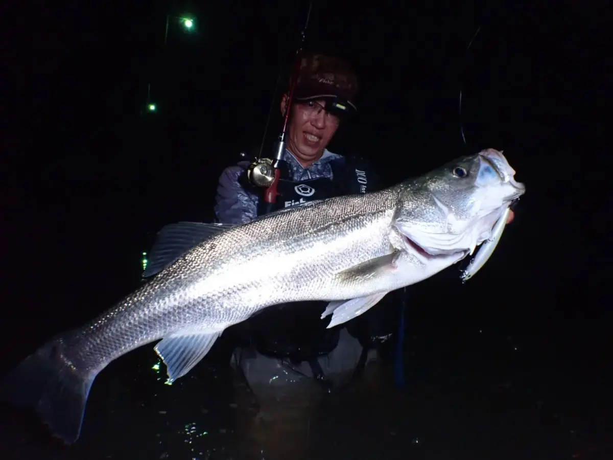 timeline_20230930_214934-jpg-