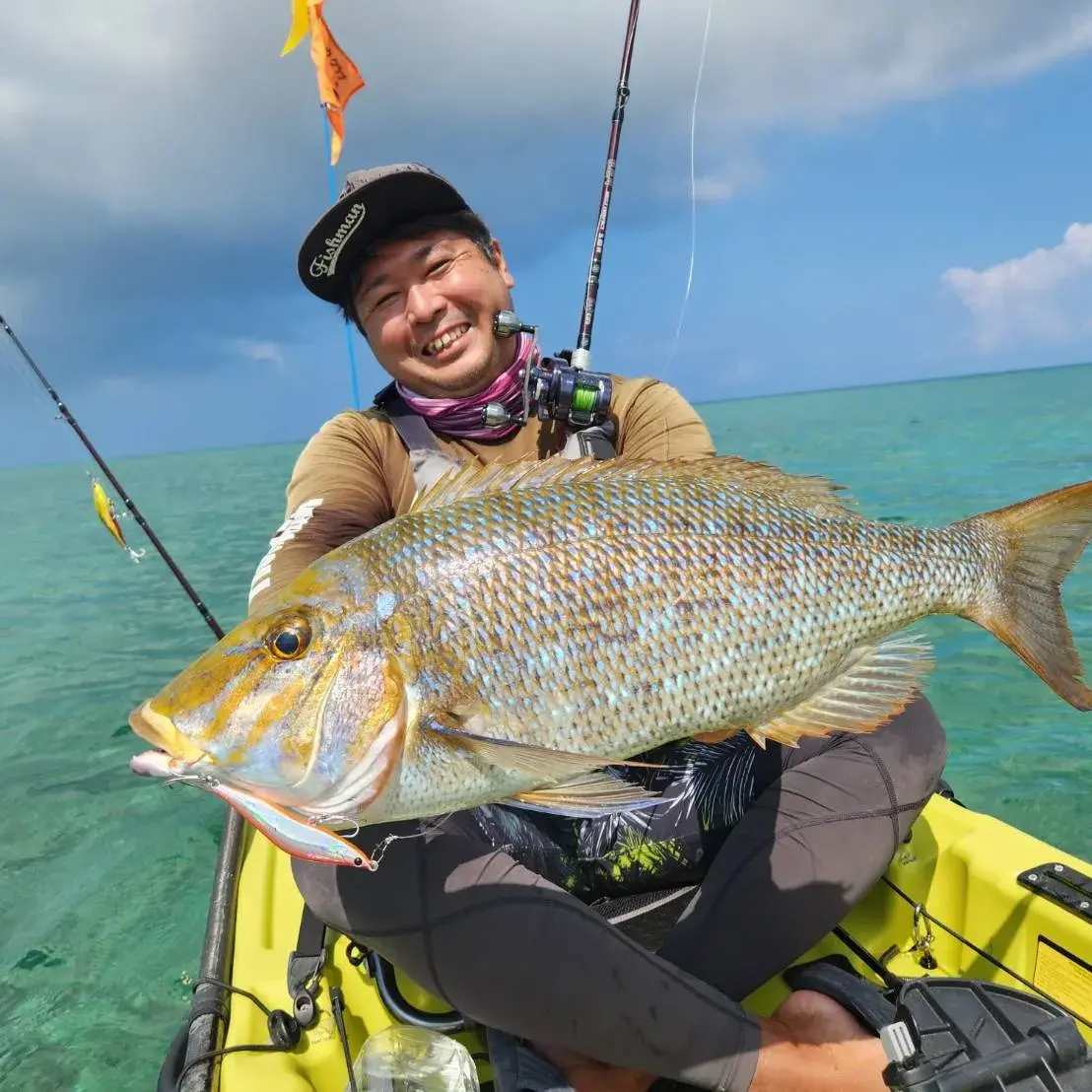 timeline_20230930_234633-jpg-1