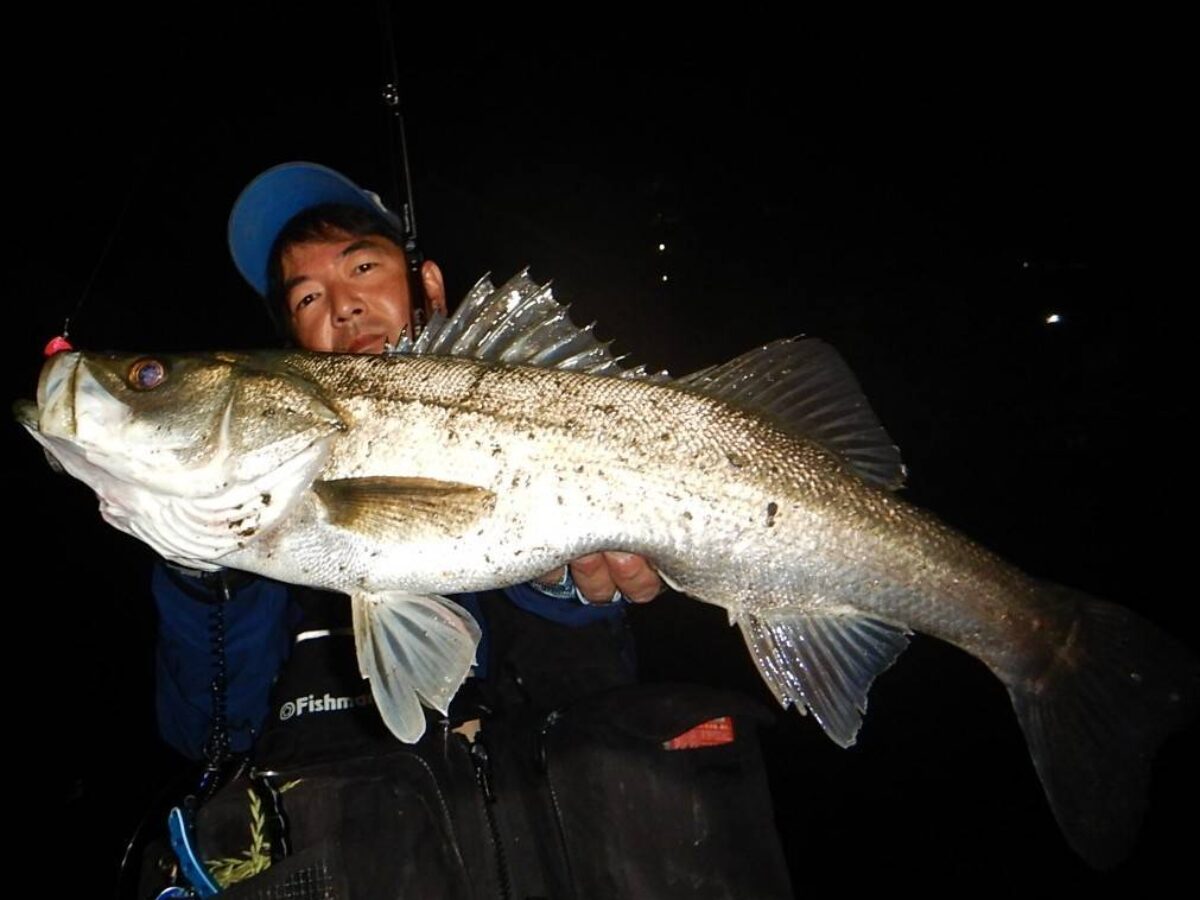 timeline_20240531_212550-