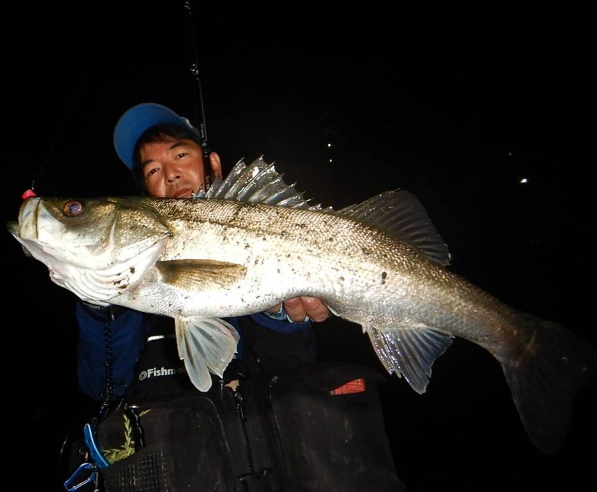 timeline_20240531_212550-