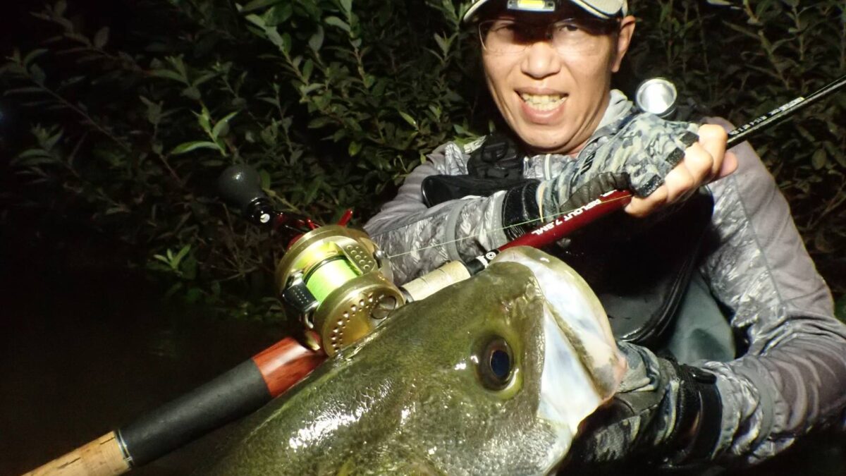 これは夢か、幻か… - Fishman（フィッシュマン）