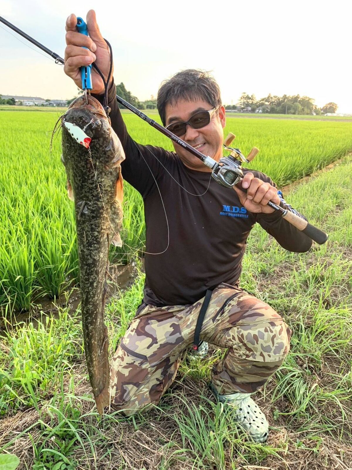 timeline_20240730_181932-