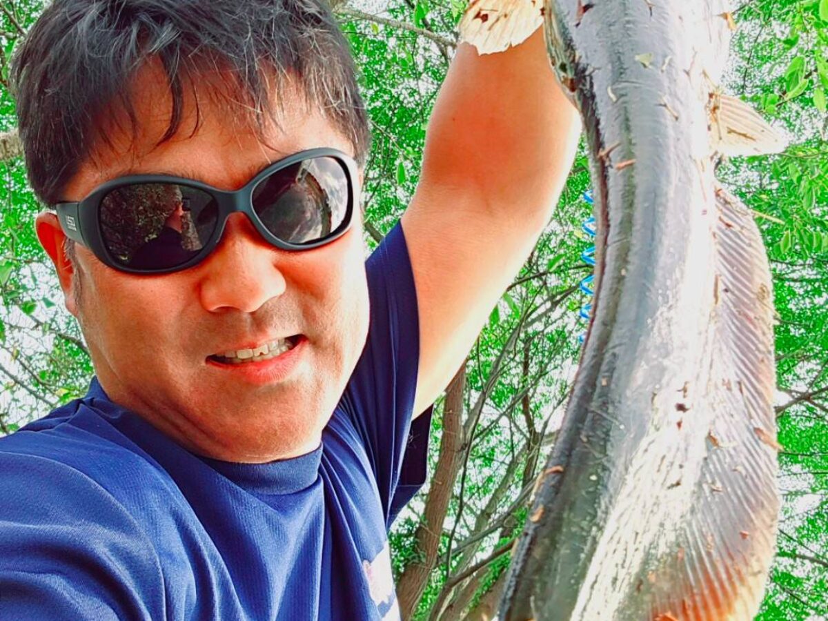 掛ける」、「乗せる」の二刀流 - Fishman（フィッシュマン）