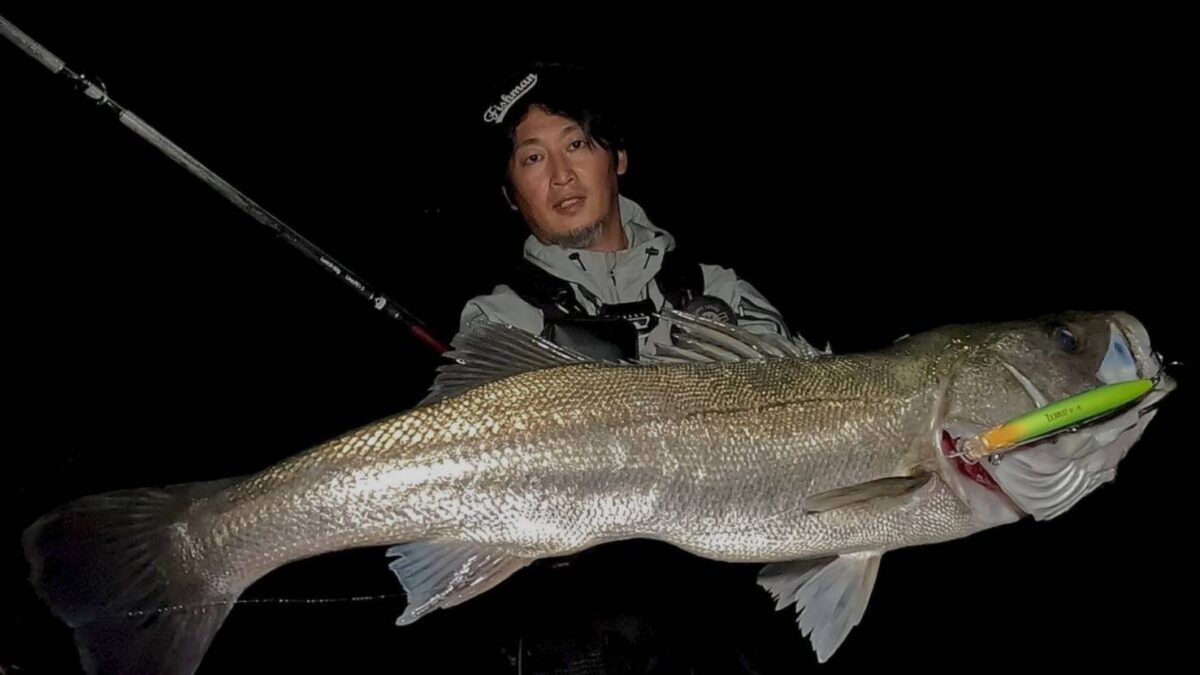 シーバス落ち鮎セット timeline_20241016_165612-