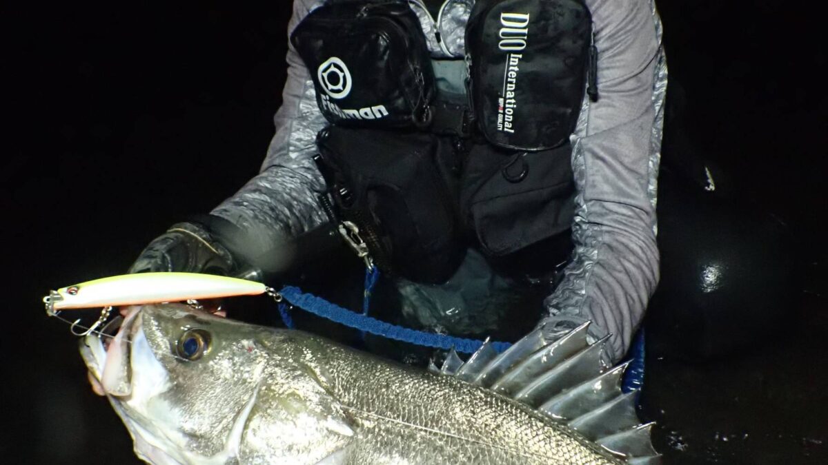 timeline_20241031_234106-