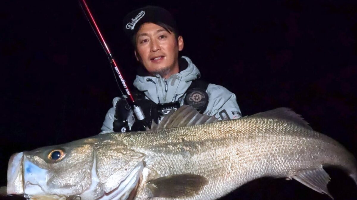 timeline_20241125_130027-