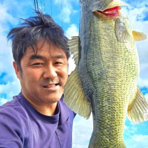 Pavel Hull Fish:::新品＆中古サーフボード専門店 M's surf