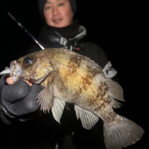 Beams inte7.7UL アーカイブ - Fishman（フィッシュマン）