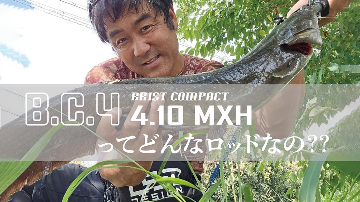 watanabe_blog-1200x675.jpg