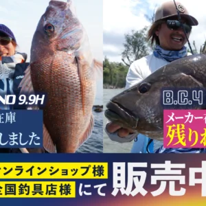 fishman BRIST MARINO9.9H 美品 Fishman フィッシュマン BRIST MARINO9.9H ブリストマリノ