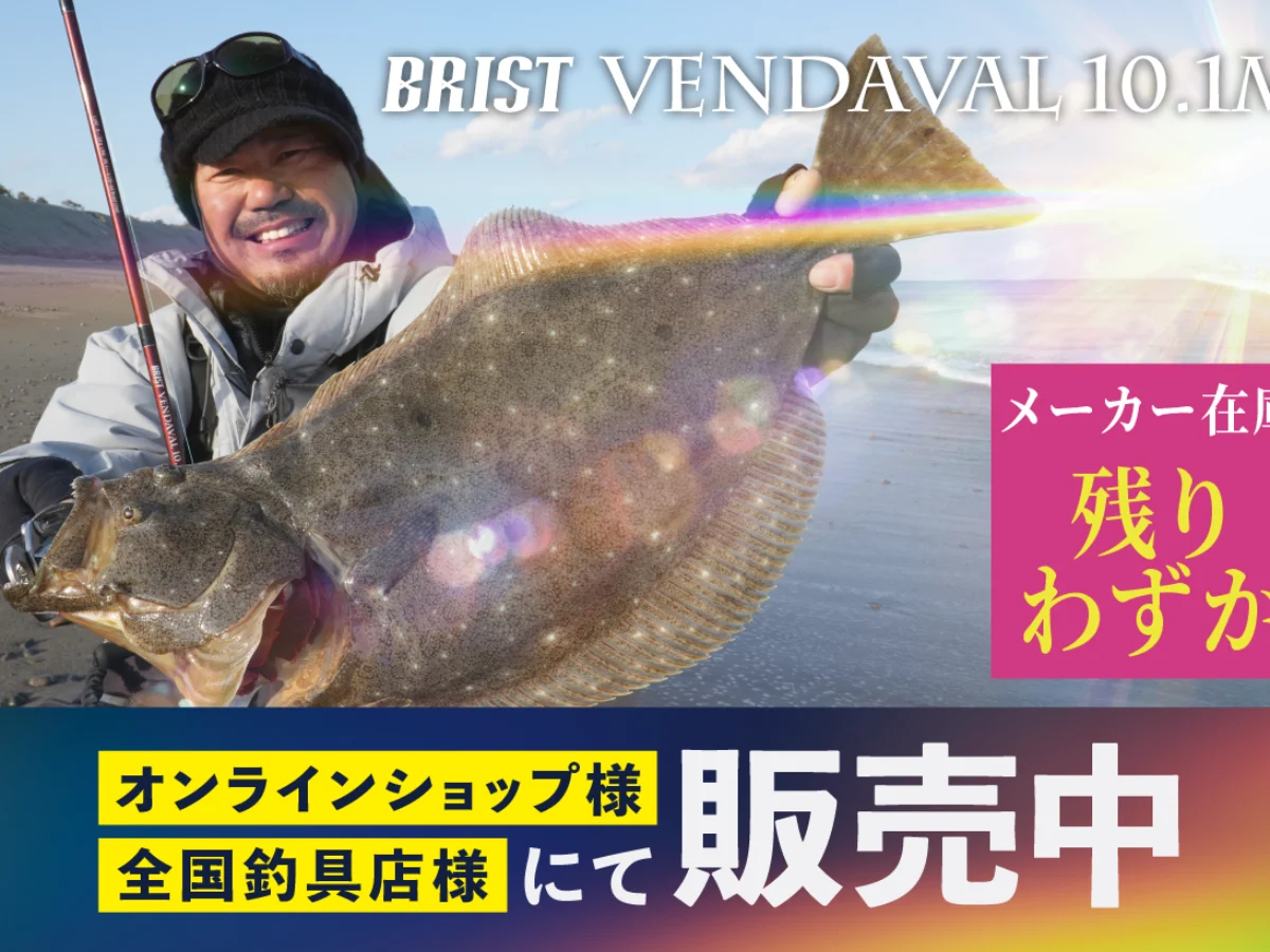 BRIST VENDAVAL10.1M メーカー在庫 残りわずか - Fishman（フィッシュ