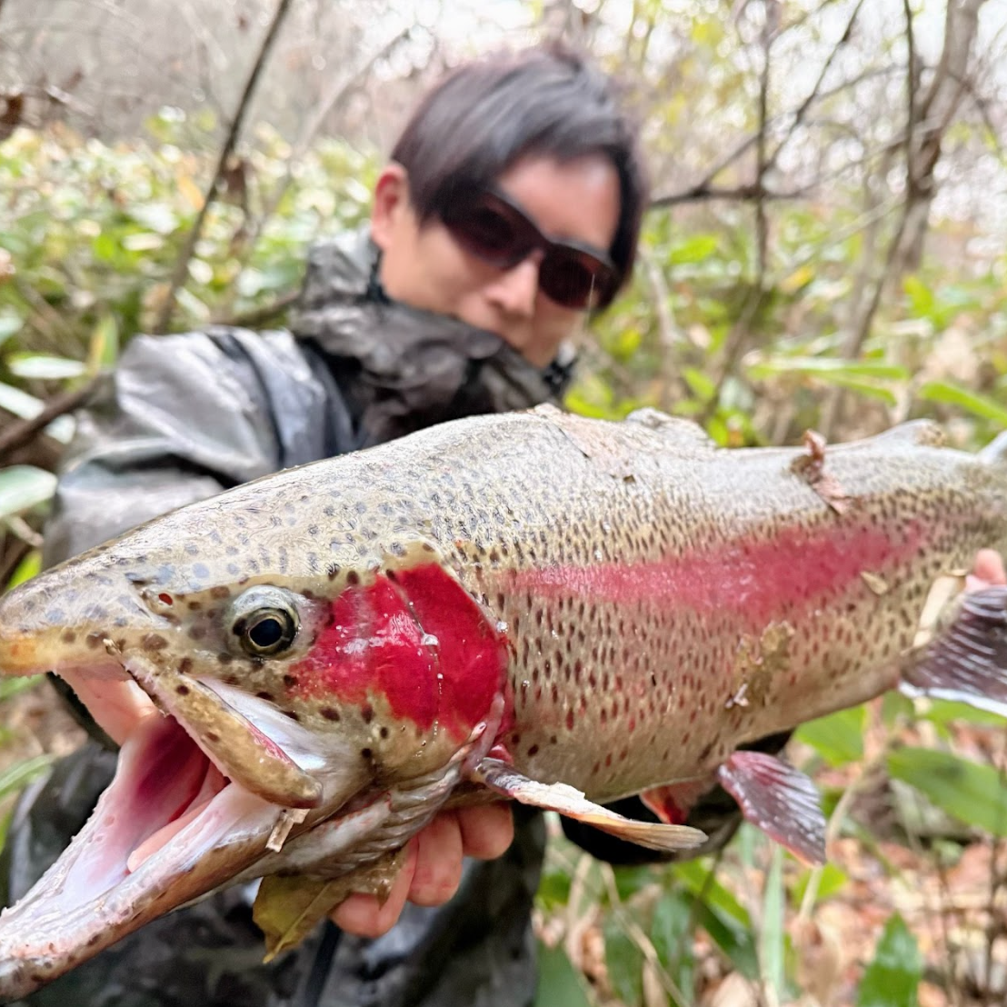 ベイトタックル×マイクロフィネスで大物狙い - Fishman（フィッシュマン）