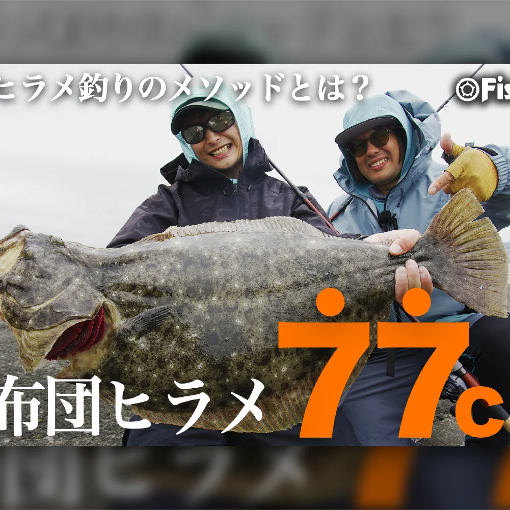 衝撃】 座布団ヒラメ出現！！大型ヒラメをキャッチする術を徹底解説